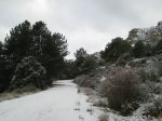 Foto 021.JPG