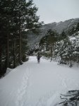Foto 036.JPG