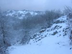 DSCN5560.jpg