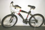 Versato Rivera bike.jpg