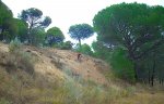 barro.jpg