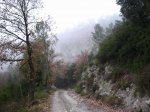IMG_8155.JPG