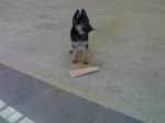 14122008017.jpg