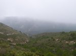 100_4663.jpg