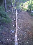 PICT0002.jpg