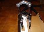 DSC01815.jpg