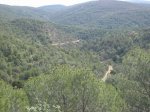 mini-IMG_4047.JPG