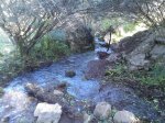 IMAGE_054.jpg
