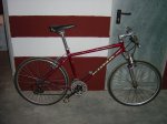dsc00446_194.jpg