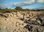 Cap Salines. des 004.jpg
