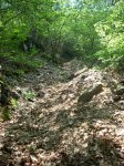 DSCN1879.jpg
