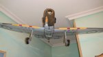 DSC00751.jpg