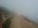 DSC00356.jpg