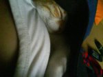 DSC00445.jpg