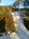 Imagen012.jpg