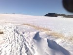 11012009365.jpg