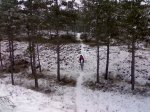 11012009429.jpg