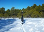 100_0422_resize.JPG