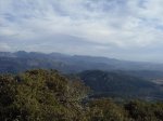 IMG_1199.jpg