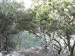 IMG_1208.jpg