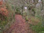 DSCF8385.jpg