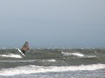oli_salto_largo_4.jpg