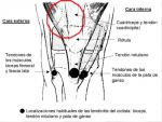 Imagen 1.png