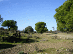 IMGP1953.gif