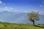 picos de europa.jpg