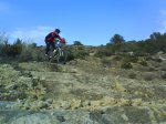 DSC00298.jpg