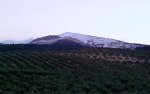 200902061850_00146.jpg
