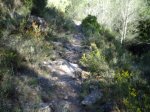 Image00029.jpg