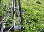 Surly 7.jpg