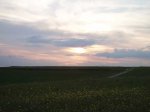 Atardecer.jpg