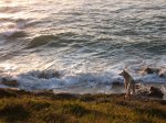 IMG_0045.JPG
