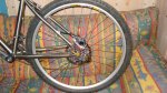DSC01310.JPG