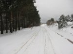 IMG_9080.JPG