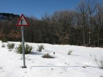 IMG_9447.JPG