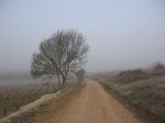 IMG_9502.JPG