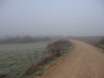 IMG_9503.JPG