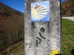 IMG_9539.JPG