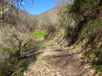IMG_9542.JPG