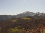 IMG_9559.JPG