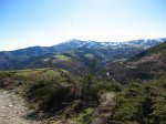 IMG_9567.JPG