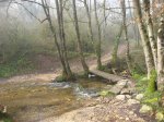 IMG_9669.JPG