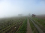 IMG_9671.JPG