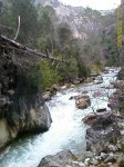 20090221_00080.jpg