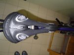 DSC00353.jpg