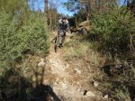 corchuela-ceubia 022.jpg