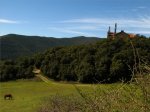 IMG_2782.JPG
